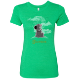 T-Shirts Envy / Small Brian Weenie Women's Triblend T-Shirt