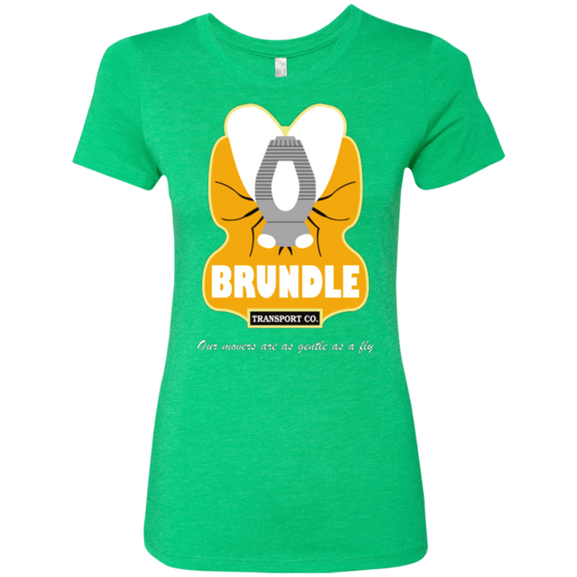 T-Shirts Envy / Small Brundle Transportation Women's Triblend T-Shirt