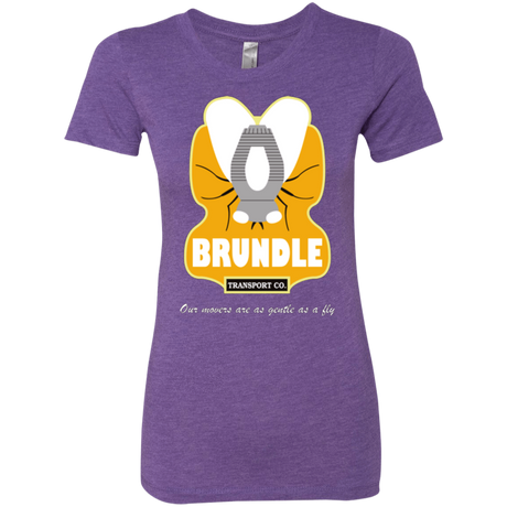 T-Shirts Purple Rush / Small Brundle Transportation Women's Triblend T-Shirt