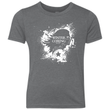 T-Shirts Premium Heather / YXS Bucky Black Youth Triblend T-Shirt