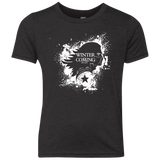 T-Shirts Vintage Black / YXS Bucky Black Youth Triblend T-Shirt