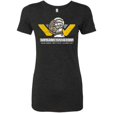 T-Shirts Vintage Black / Small Building Better Worlds Women's Triblend T-Shirt