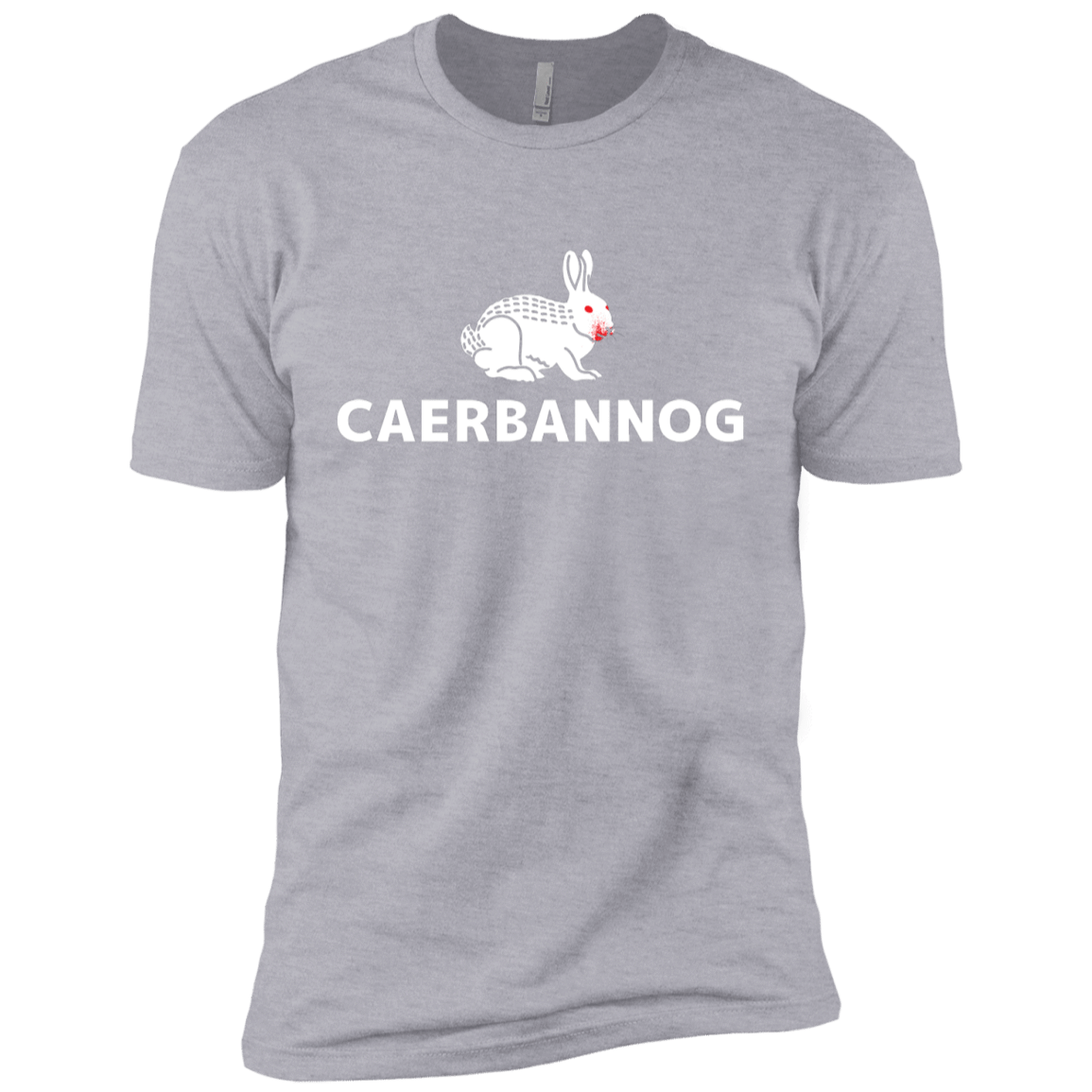 T-Shirts Heather Grey / YXS Caerbannog Boys Premium T-Shirt