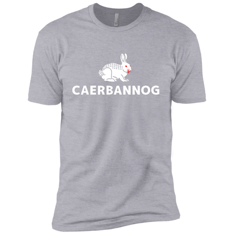 T-Shirts Heather Grey / YXS Caerbannog Boys Premium T-Shirt