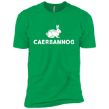 T-Shirts Kelly Green / YXS Caerbannog Boys Premium T-Shirt