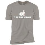 T-Shirts Light Grey / YXS Caerbannog Boys Premium T-Shirt