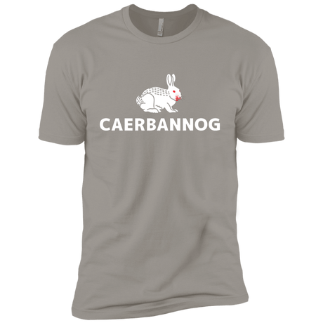 T-Shirts Light Grey / YXS Caerbannog Boys Premium T-Shirt