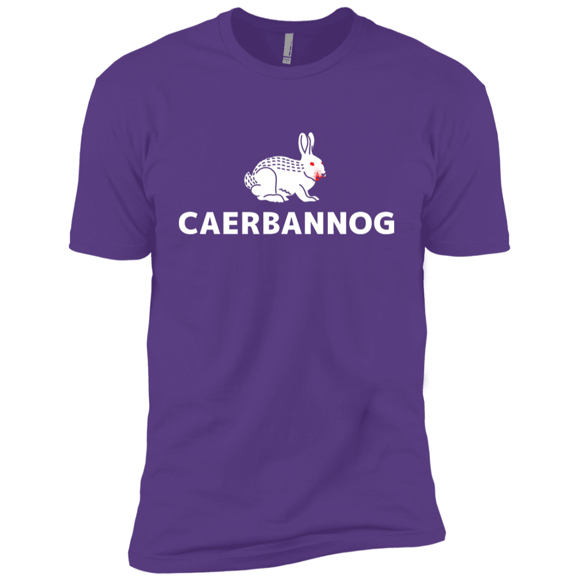 T-Shirts Purple Rush / YXS Caerbannog Boys Premium T-Shirt