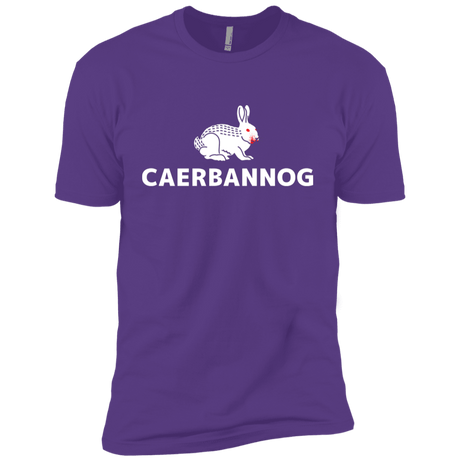 T-Shirts Purple Rush / YXS Caerbannog Boys Premium T-Shirt