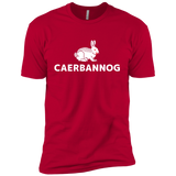 T-Shirts Red / YXS Caerbannog Boys Premium T-Shirt