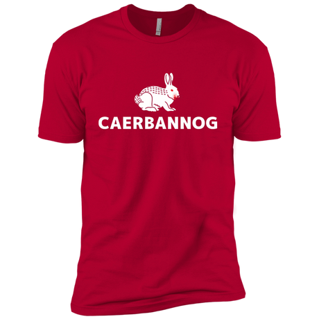 T-Shirts Red / YXS Caerbannog Boys Premium T-Shirt
