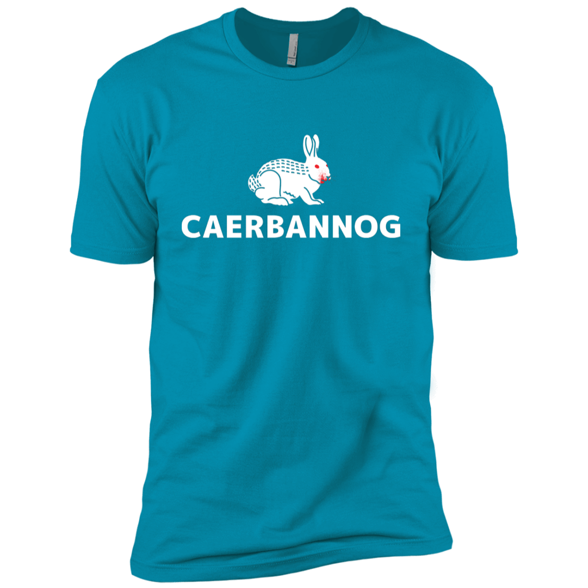 T-Shirts Turquoise / YXS Caerbannog Boys Premium T-Shirt