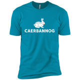 T-Shirts Turquoise / YXS Caerbannog Boys Premium T-Shirt