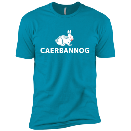 T-Shirts Turquoise / YXS Caerbannog Boys Premium T-Shirt