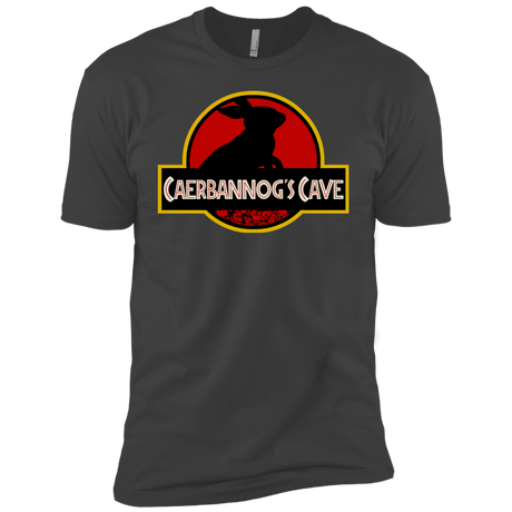 T-Shirts Heavy Metal / YXS Caerbannog Cave Boys Premium T-Shirt