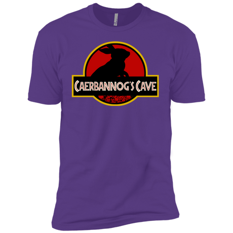 T-Shirts Purple Rush / YXS Caerbannog Cave Boys Premium T-Shirt