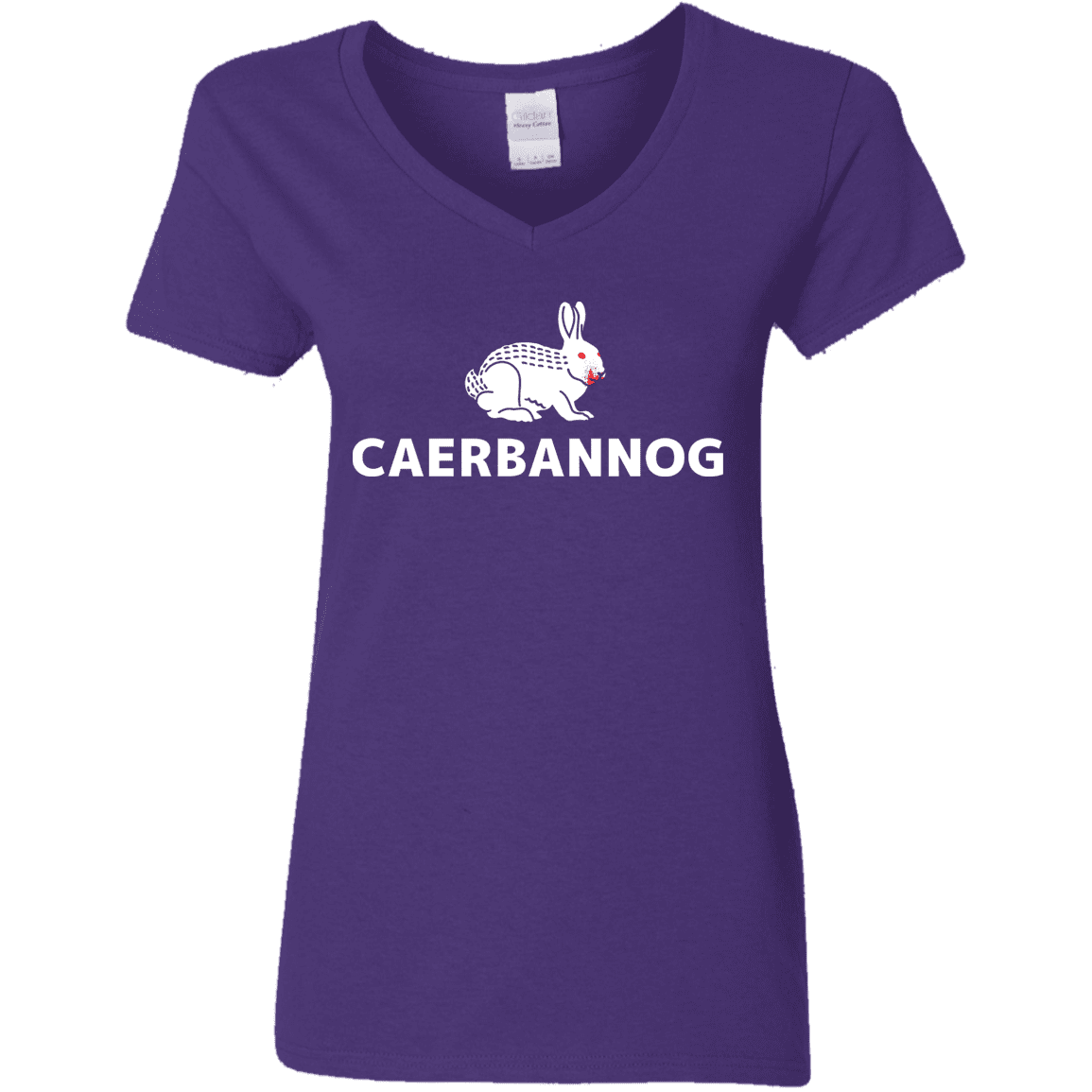 T-Shirts Purple / S Caerbannog Women's V-Neck T-Shirt