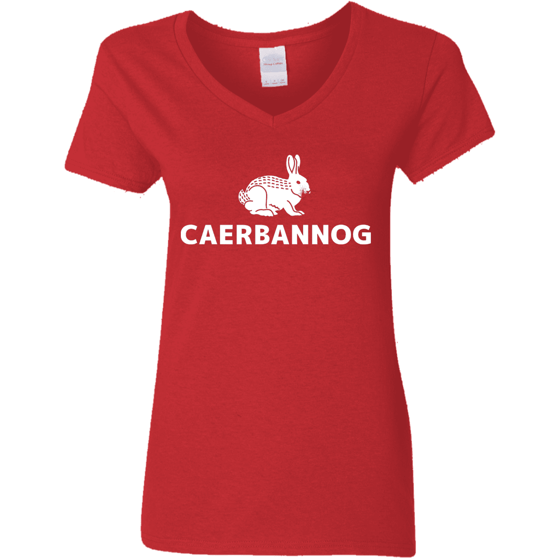 T-Shirts Red / S Caerbannog Women's V-Neck T-Shirt