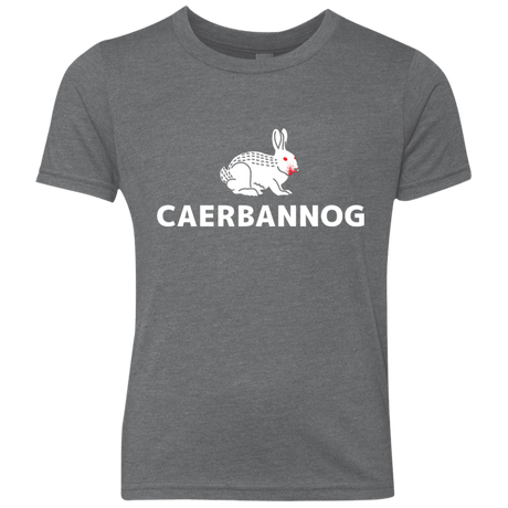 T-Shirts Premium Heather / YXS Caerbannog Youth Triblend T-Shirt