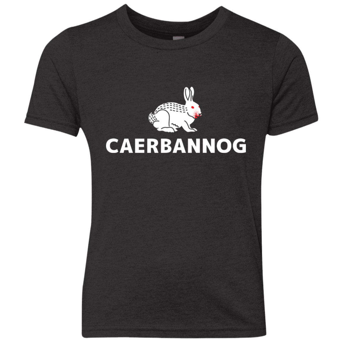 T-Shirts Vintage Black / YXS Caerbannog Youth Triblend T-Shirt