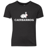 T-Shirts Vintage Black / YXS Caerbannog Youth Triblend T-Shirt