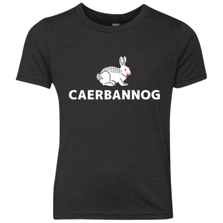 T-Shirts Vintage Black / YXS Caerbannog Youth Triblend T-Shirt