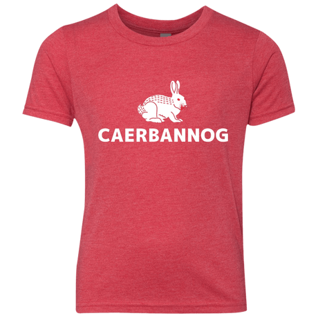 T-Shirts Vintage Red / YXS Caerbannog Youth Triblend T-Shirt