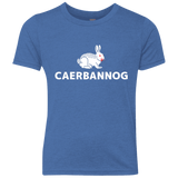 T-Shirts Vintage Royal / YXS Caerbannog Youth Triblend T-Shirt