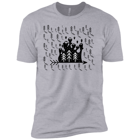 T-Shirts Heather Grey / YXS Campfire Stories Boys Premium T-Shirt