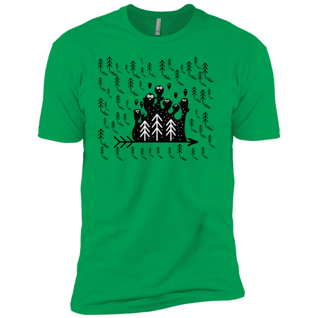 T-Shirts Kelly Green / YXS Campfire Stories Boys Premium T-Shirt