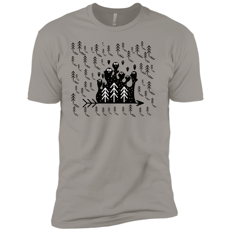 T-Shirts Light Grey / YXS Campfire Stories Boys Premium T-Shirt
