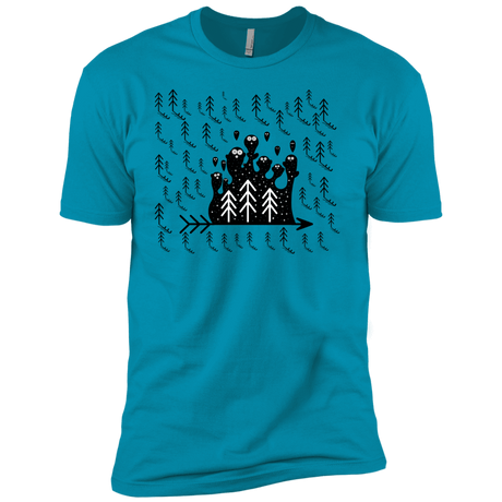 T-Shirts Turquoise / YXS Campfire Stories Boys Premium T-Shirt
