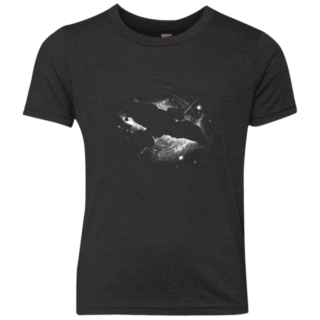 T-Shirts Vintage Black / YXS Can't take the sky from me Youth Triblend T-Shirt