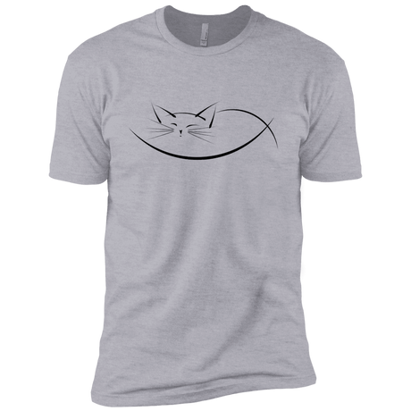 T-Shirts Heather Grey / YXS Cat Nap Boys Premium T-Shirt