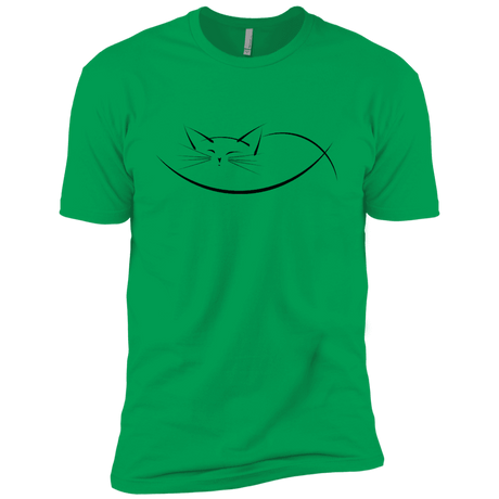 T-Shirts Kelly Green / YXS Cat Nap Boys Premium T-Shirt