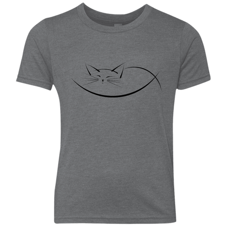 T-Shirts Premium Heather / YXS Cat Nap Youth Triblend T-Shirt