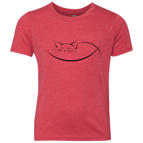 T-Shirts Vintage Red / YXS Cat Nap Youth Triblend T-Shirt