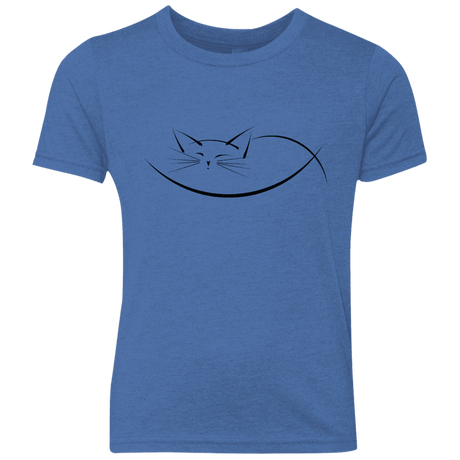 T-Shirts Vintage Royal / YXS Cat Nap Youth Triblend T-Shirt