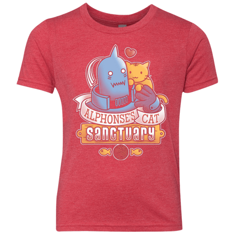 T-Shirts Vintage Red / YXS CAT SANCTUARY Youth Triblend T-Shirt