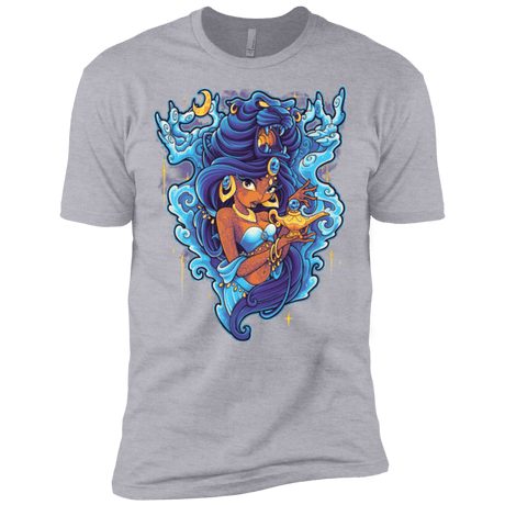 T-Shirts Heather Grey / X-Small Cave Of Wonders Men's Premium T-Shirt