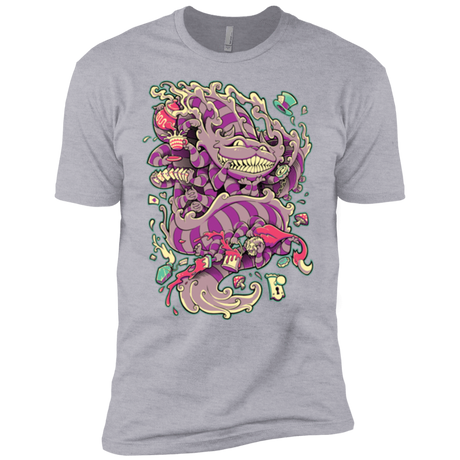 T-Shirts Heather Grey / YXS Cheshire Dragon Boys Premium T-Shirt