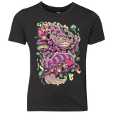 T-Shirts Vintage Black / YXS Cheshire Dragon Youth Triblend T-Shirt