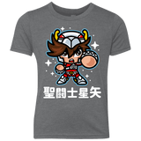 T-Shirts Premium Heather / YXS ChibiPegasus Youth Triblend T-Shirt