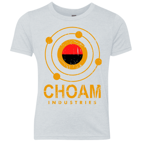 T-Shirts Heather White / YXS Choam Youth Triblend T-Shirt