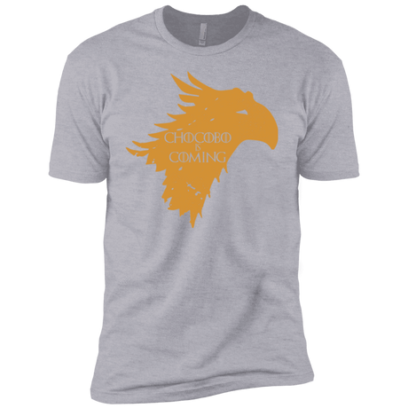 T-Shirts Heather Grey / YXS Chocobo is Coming Boys Premium T-Shirt