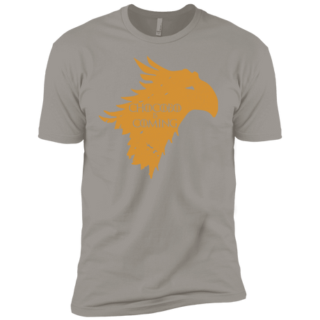 T-Shirts Light Grey / YXS Chocobo is Coming Boys Premium T-Shirt