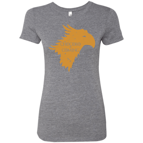 T-Shirts Premium Heather / Small Chocobo is Coming Women's Triblend T-Shirt