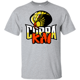 T-Shirts Sport Grey / YXS COBRA KAI Youth T-Shirt