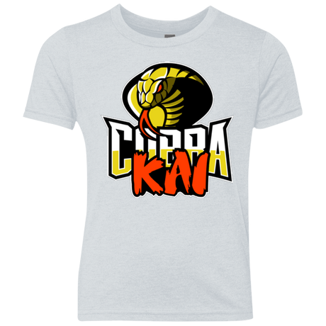 T-Shirts Heather White / YXS COBRA KAI Youth Triblend T-Shirt