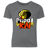 T-Shirts Premium Heather / YXS COBRA KAI Youth Triblend T-Shirt